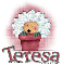 Flower Pot Teresa