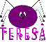 Teresa - purple spider