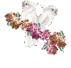 Floral White Cockatoos
