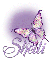 SHELLI Butterfly Bling Purple 
