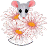 Daisy Mouse