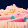 Pink Sprinkle Cupcake