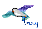 tracy's bird