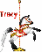 Horse with Tracy name