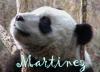 MARTINEZ-PANDA BEAR