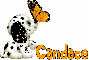 Candace-puppy