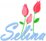 Selina Roses