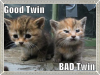 good twin bad twin kittens