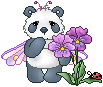panda pink