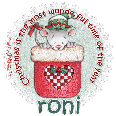 RONI Wonderful Mouse