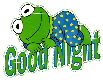 Night~Kermit