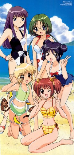 Tokyo mew mew