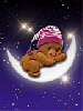 cute bear on moon