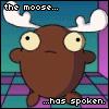 Fear the moose!