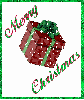 Merry Christmas Present~Green Border