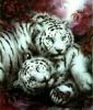 Snow Tigers