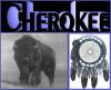 cherokee buffalo dreamcatcher
