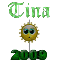 tina's 2009 ball
