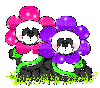 Flower Pandas