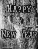 Mae West, Actress, Vintage, Happy New Year