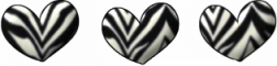 Zebra hearts.
