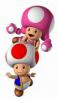 toad and toadette