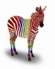 100% Rainbow Zebra