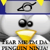 Penguin Ninja