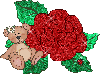 Bear with Rose