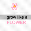I grow like a flower