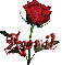 red rose april