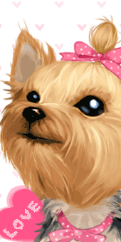YORKIE LOVE