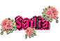 Roses: Sadia