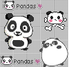 My Panda Picture 