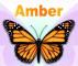 Amber with butterfly