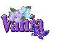 Purple Flower & Butterfly: Vania
