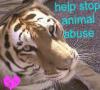 Help stop animal abuse