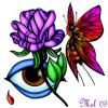 Rose Butterfly Eye