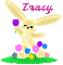 bunny-tracy
