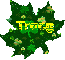 leaf-Tracy