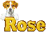 Puppy: Rose