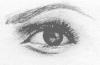 Beautifully Drawn Eye