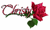 Red rose Christy