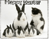 Happy Easter kitty & bunnies