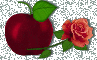 apple and rose