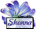 Blue Flower - Shonna