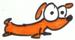 A weiner dog