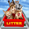 cats on a rollor coaster