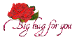 Big Hug For You <red rose flashie>