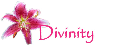 orchid with name Divinity